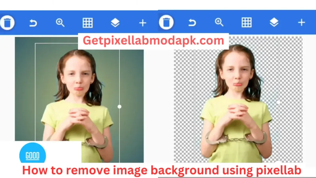 remove image background using pixellab